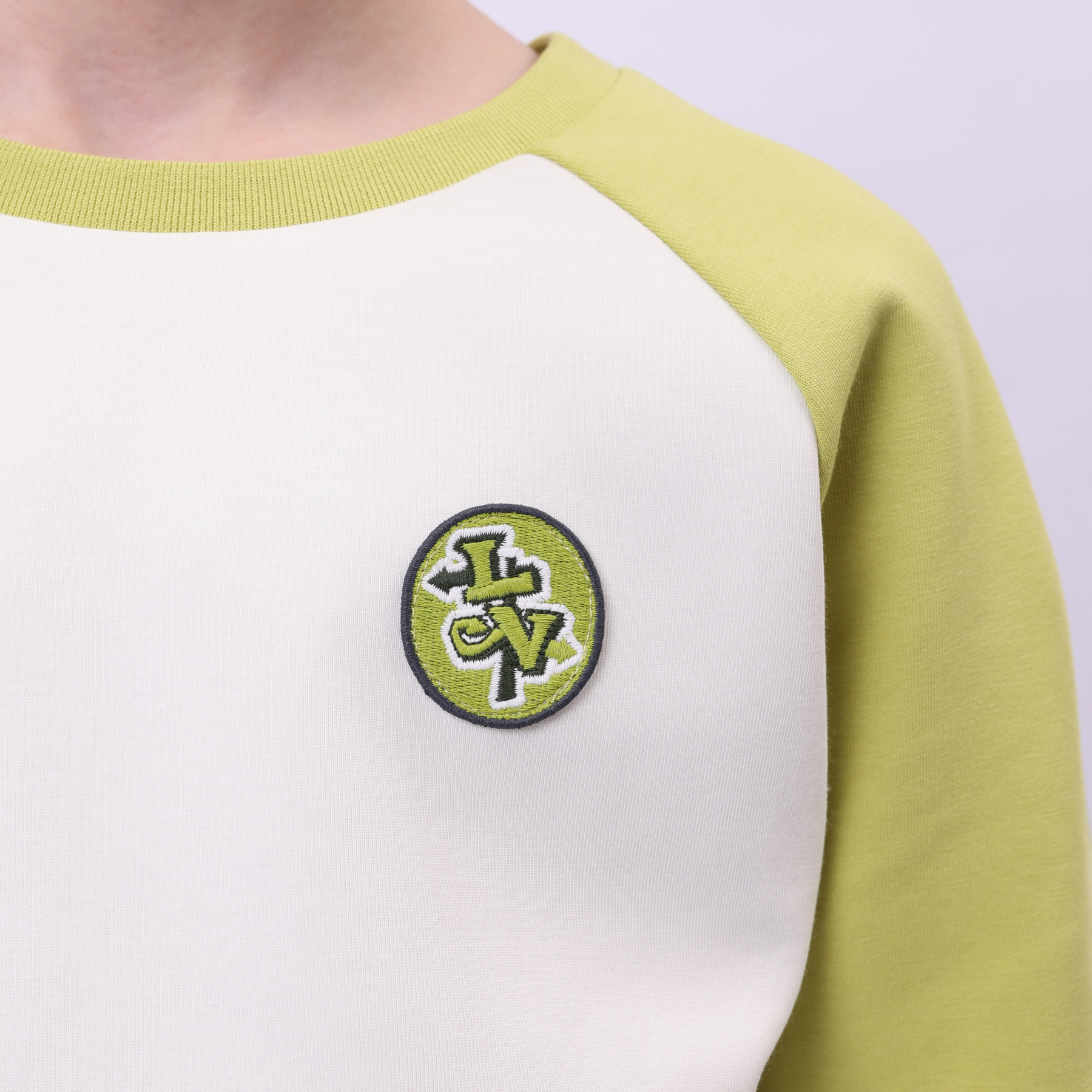 YWDU069-1 Свитшот Spring Outing мульти