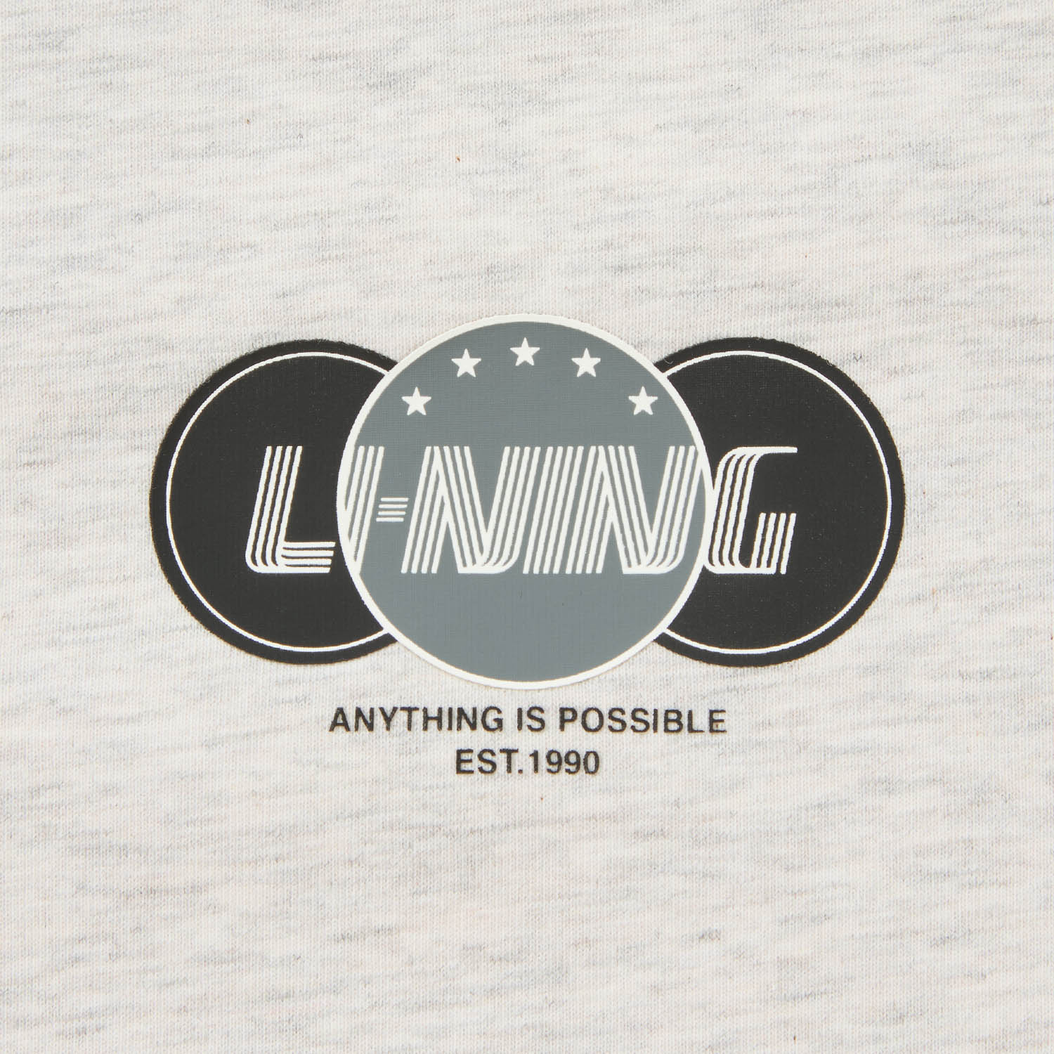 AHSW445-6 Футболка Logo Lab серый
