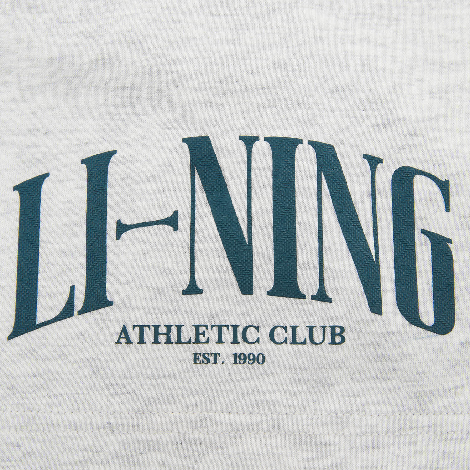 AKSW195-1 Шорты Sports Style серый