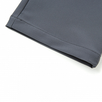 AYKW243-3 Брюки спортивные Active серый