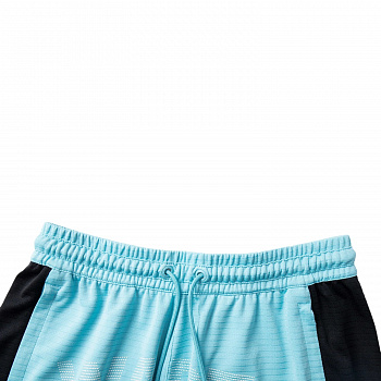 AAPV019-5 Шорты Wade Performance синий