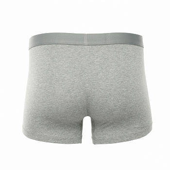 AUAV003-3 Нижнее белье Underwear серый