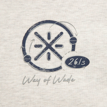 AWDW011-6 Толстовка Wade Lifestyle серый