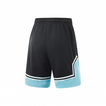 AAPV017-1 Брюки спортивные Wade Performance черный