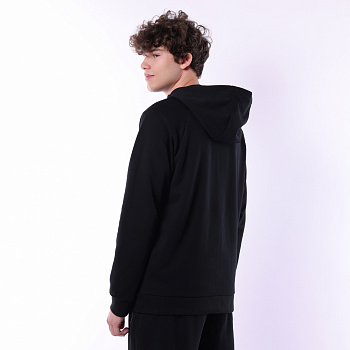 AWDV263-1 Толстовка Wade Performance черный