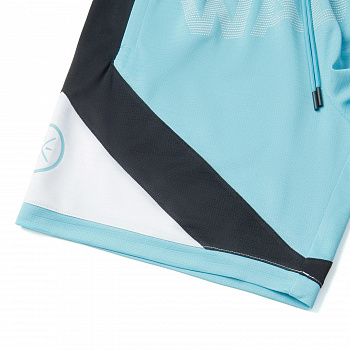 AAPV019-5 Шорты Wade Performance синий