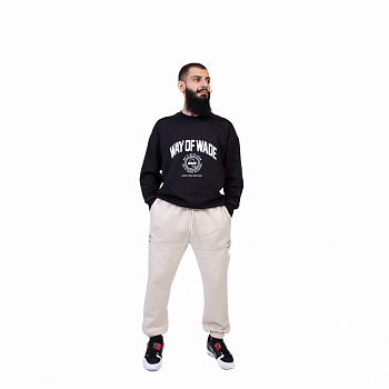 AWDU277-1 Свитшот Wade черный