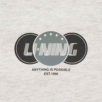 AHSW445-6 Футболка Logo Lab серый