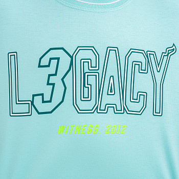 YHSU113-5 Футболка Wade зелёная