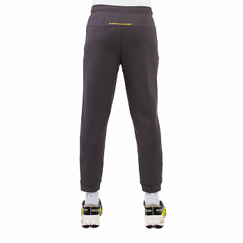 AKLU151-3 Брюки спортивные Fitness серые