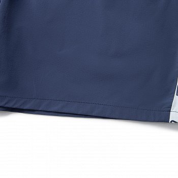 AKSV427-3 Шорты Active мульти