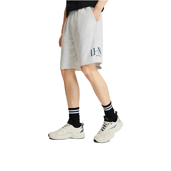 AKSW195-1 Шорты Sports Style серый