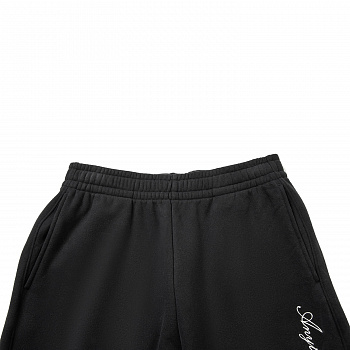 AKLW178-3 Брюки спортивные Sports Style черный