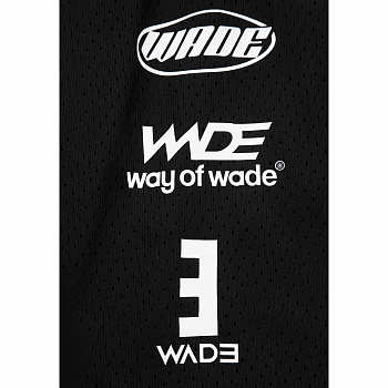 AAPV051-1 Шорты спортивные Wade Performance черный