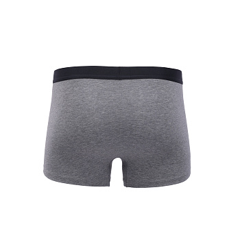 AUAW003-3 Нижнее белье Underwear серый