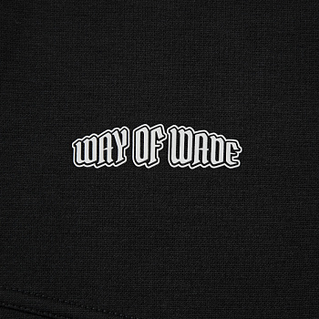 AKLV681-1 Брюки спортивные Wade Lifestyle черный