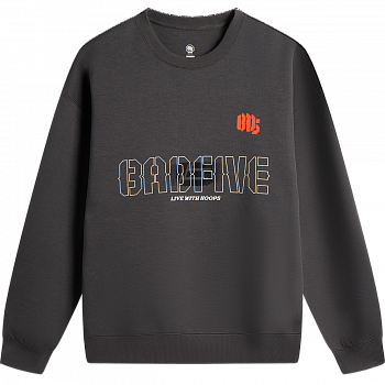 AWDV323-6 Толстовка Bad5 Off-Court серый