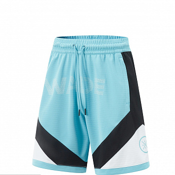 AAPV019-5 Шорты Wade Performance синий