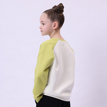 YWDU069-1 Свитшот Spring Outing мульти