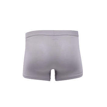 AUAW005-4 Нижнее белье Underwear серый