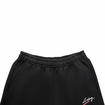 AKLV836-2 Брюки спортивные Sports Style черный