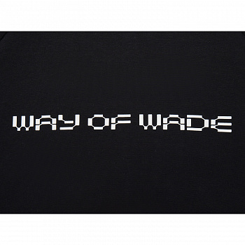 AWDW287-1 Толстовка Wade Performance черный