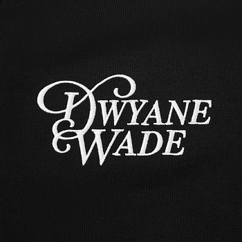 AKLW147-1 Брюки спортивные Wade черный