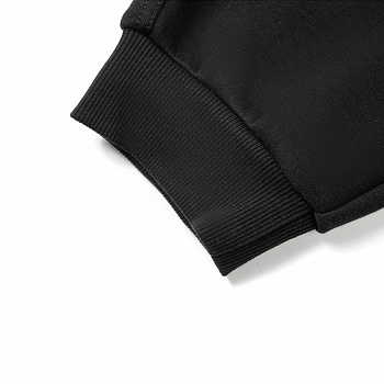 AKLW067-2 Брюки спортивные Chinese Culture черный