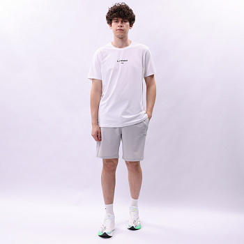 AKSV111-10 Шорты Essentials серый