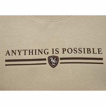 AWDVA49-5 Толстовка Sports Style бежевый