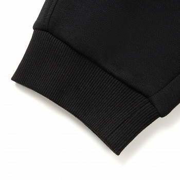 AKLV865-2 Брюки спортивные Sports Style черный